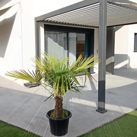 Climatisee Avec Jardin Amenage Et Cuisine D'ete Pour De Superbes Au Soleil ! Perpignan